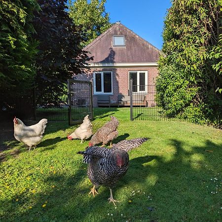 Boutique B&B Villa Van Voss Etten-Leur Zewnętrze zdjęcie