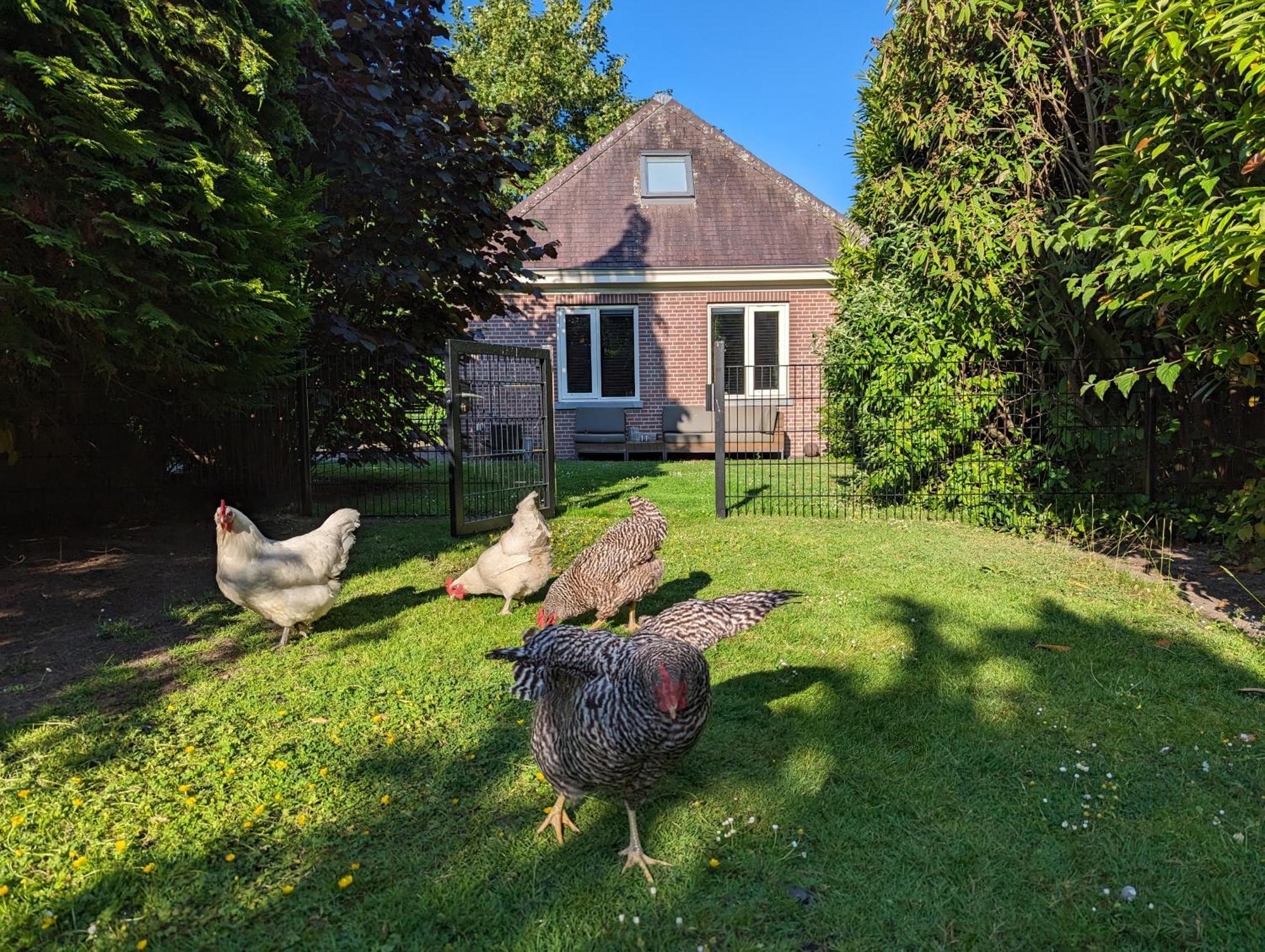 Boutique B&B Villa Van Voss Etten-Leur Zewnętrze zdjęcie